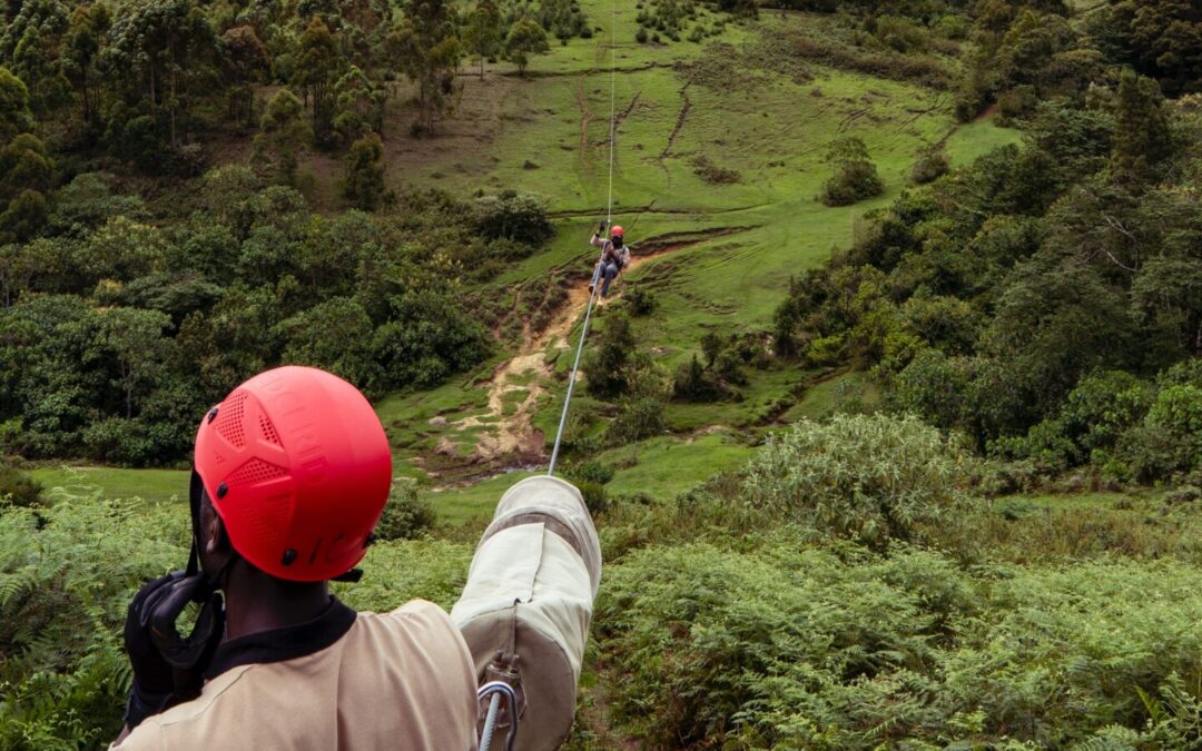 Zip Line Maintenance 101: Keeping Your Adventure Park Safe and Fun